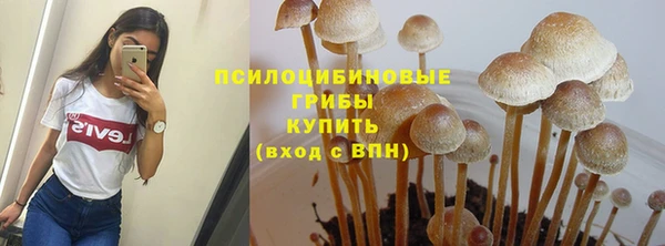 шишки Армянск