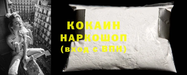 прущий лед Инсар