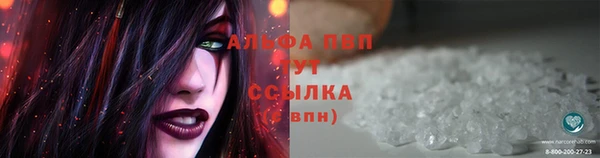 шишки Армянск