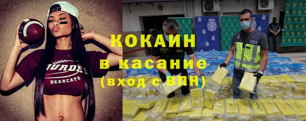 шишки Армянск