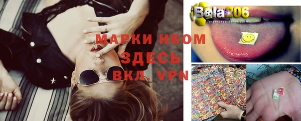 шишки Армянск